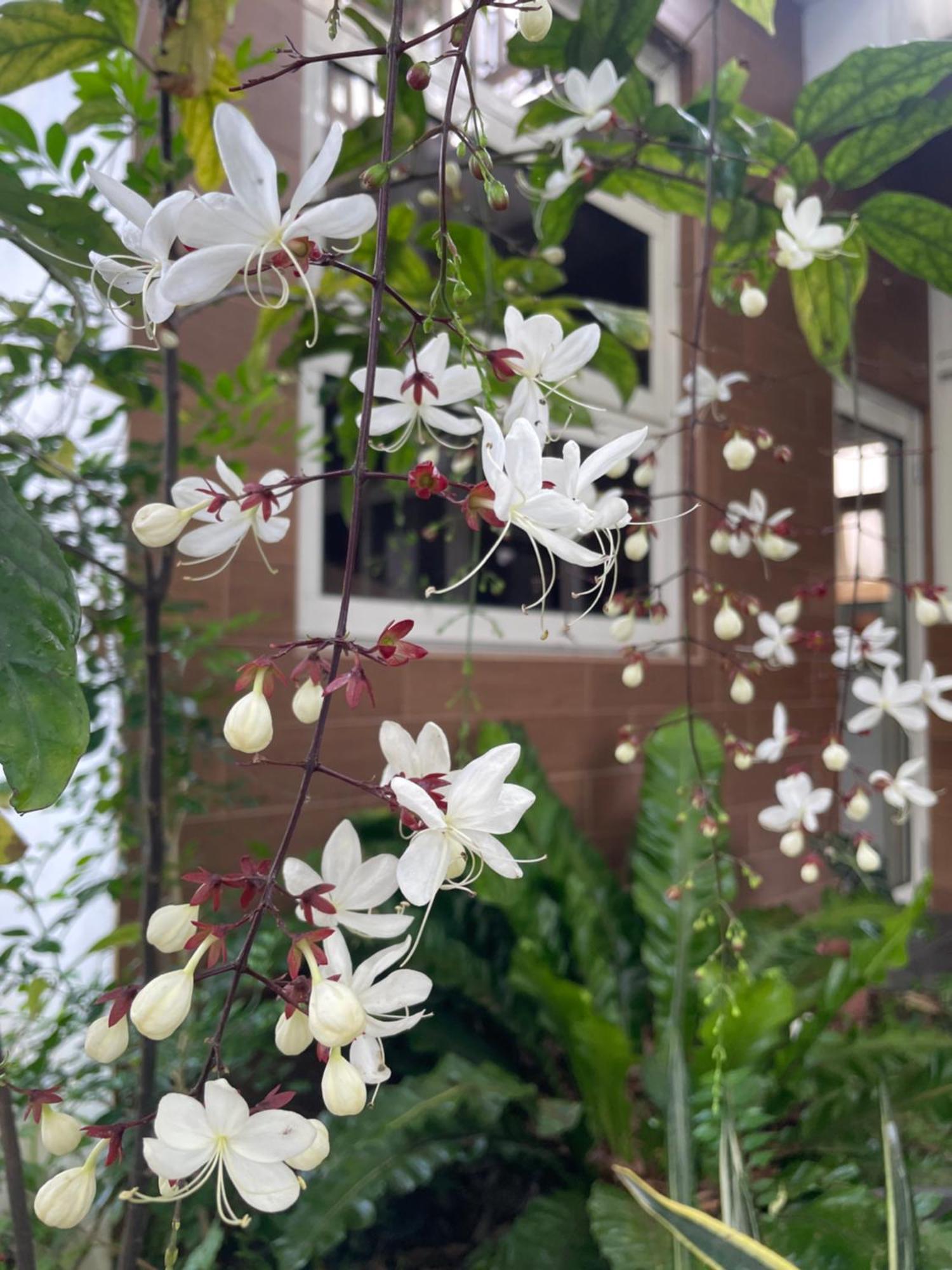 I Leisure B&B Yuanshan Zewnętrze zdjęcie